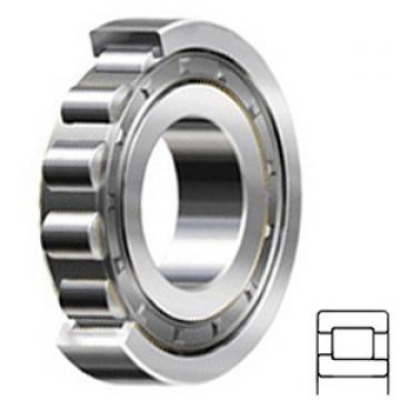 1.772 Inch | 45 Millimeter x 3.937 Inch | 100 Millimeter x 0.984 Inch | 25 Millimeter  SKF NJ 309 ECJ/C3 Rodamientos de rodillos cilíndricos