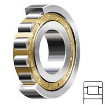 1.181 Inch | 30 Millimeter x 2.441 Inch | 62 Millimeter x 0.787 Inch | 20 Millimeter  SKF NJ 2206 ECML/C4 Rodamientos de rodillos cilíndricos