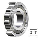 3.543 Inch | 90 Millimeter x 7.48 Inch | 190 Millimeter x 1.693 Inch | 43 Millimeter  SKF NJ 318 ECJ/C3 Rodamientos de rodillos cilíndricos